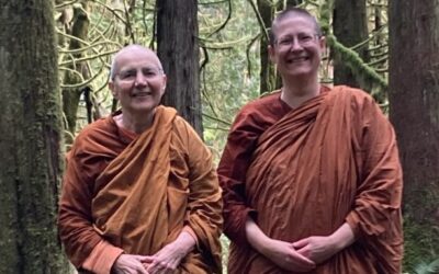 Forest Meditation with Passaddhi Vihara Bhikkhunis