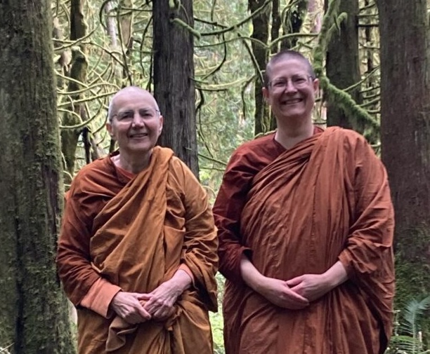 Forest Meditation with Passaddhi Vihara Bhikkhunis