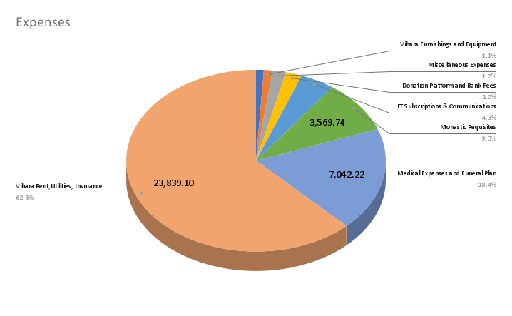 graph of expenses in 2025